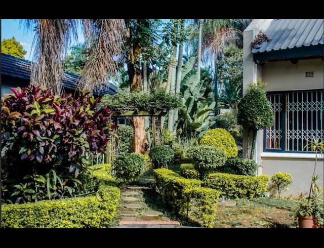 BUSINESS FOR SALE IN WHITE RIVER